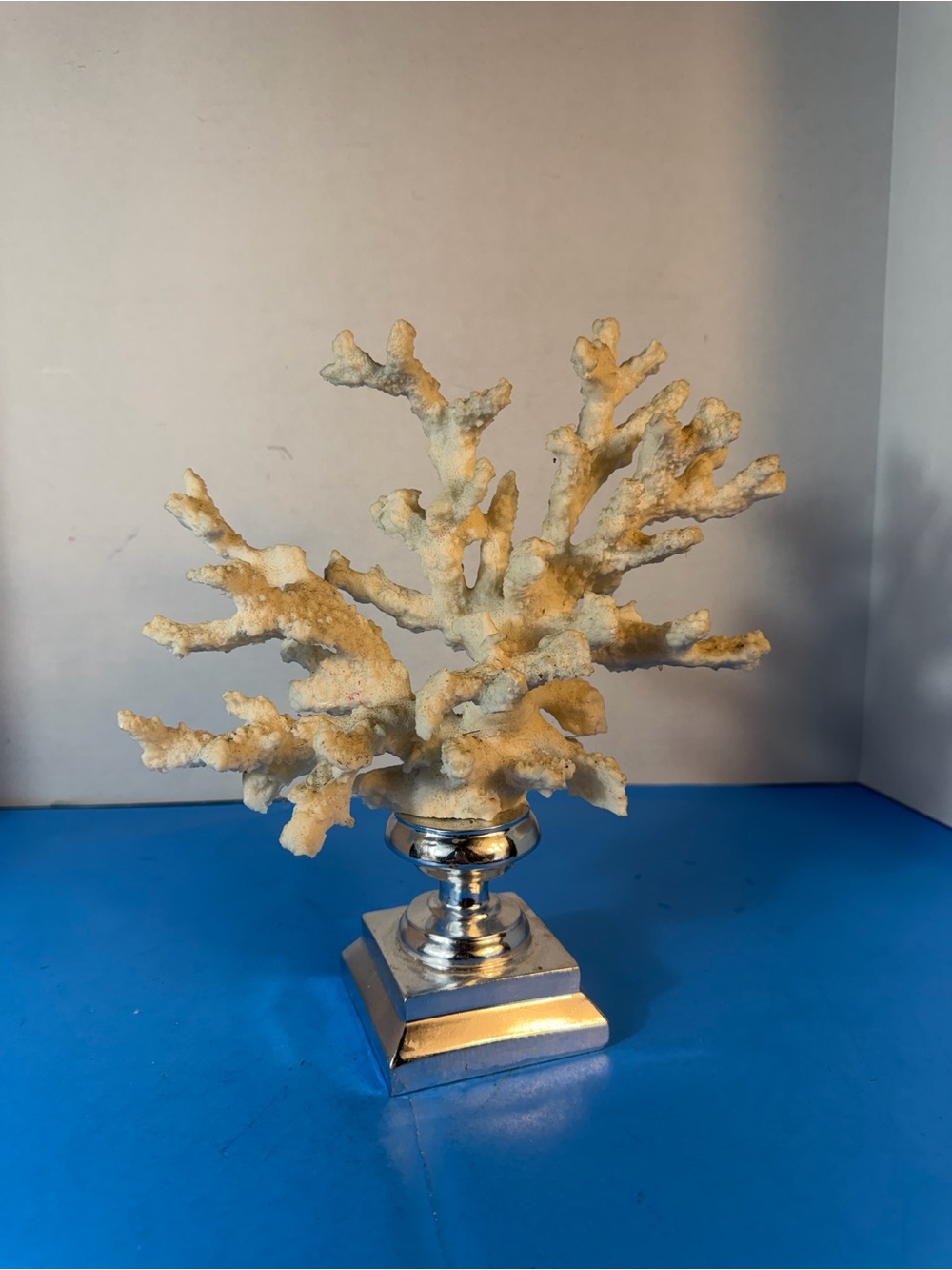 Decorative White Coral Accent on Silver Pedestal - Home Accents